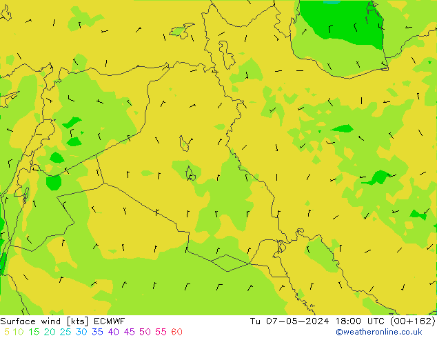 Wind 10 m ECMWF di 07.05.2024 18 UTC