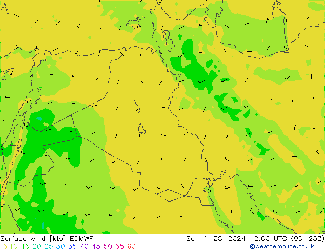 Surface wind ECMWF Sa 11.05.2024 12 UTC