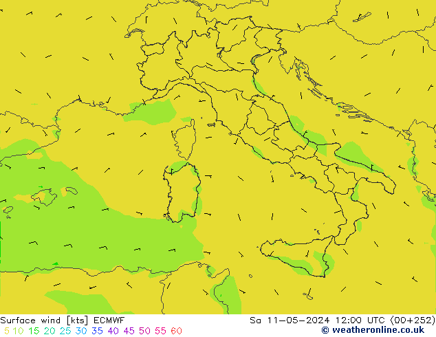 Surface wind ECMWF So 11.05.2024 12 UTC