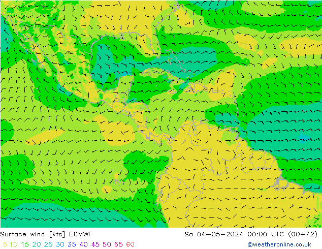 Wind 10 m ECMWF za 04.05.2024 00 UTC