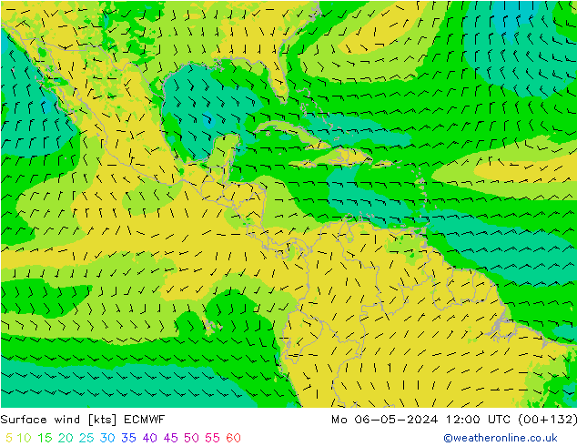 wiatr 10 m ECMWF pon. 06.05.2024 12 UTC