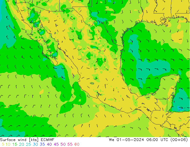 Surface wind ECMWF We 01.05.2024 06 UTC