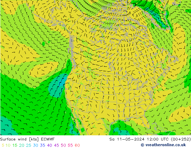 Wind 10 m ECMWF za 11.05.2024 12 UTC