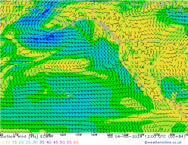 Wind 10 m ECMWF za 04.05.2024 12 UTC