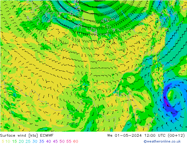 Surface wind ECMWF We 01.05.2024 12 UTC