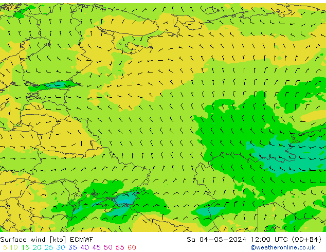 ветер 10 m ECMWF сб 04.05.2024 12 UTC