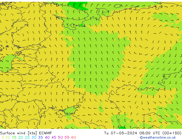 ветер 10 m ECMWF вт 07.05.2024 06 UTC