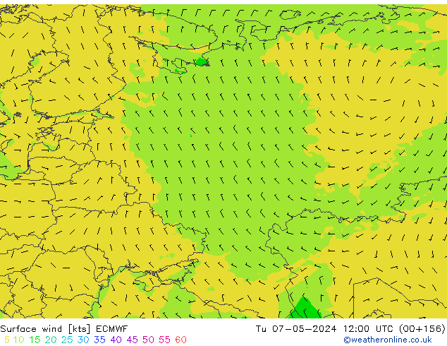 Surface wind ECMWF Tu 07.05.2024 12 UTC