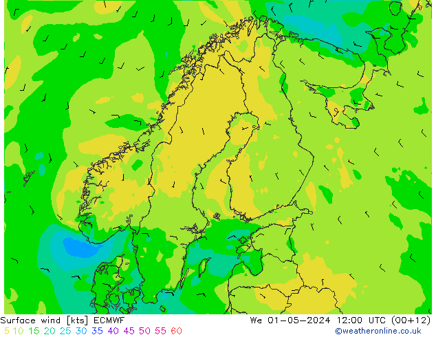 Vento 10 m ECMWF mer 01.05.2024 12 UTC