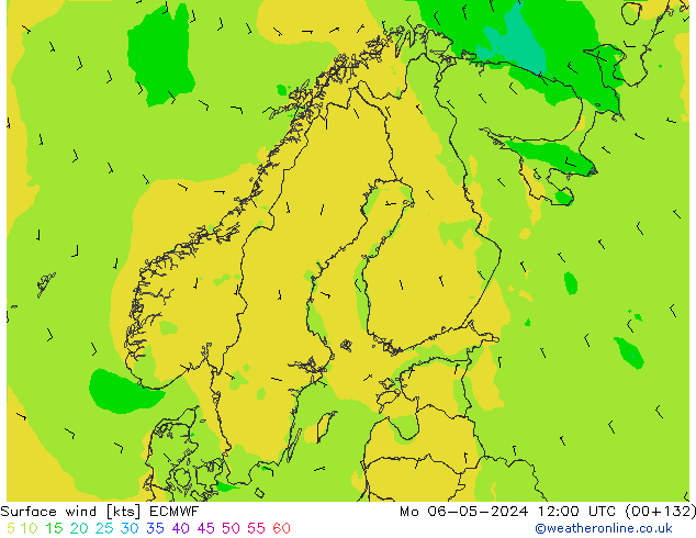  10 m ECMWF  06.05.2024 12 UTC