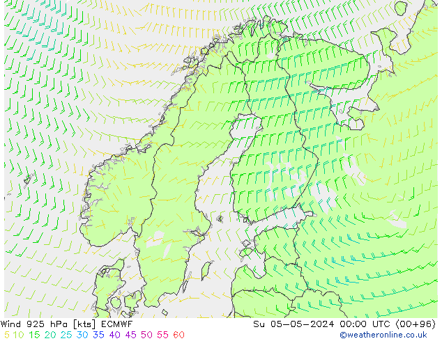 Rüzgar 925 hPa ECMWF Paz 05.05.2024 00 UTC