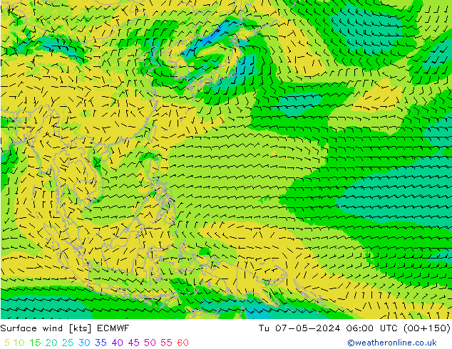 Bodenwind ECMWF Di 07.05.2024 06 UTC