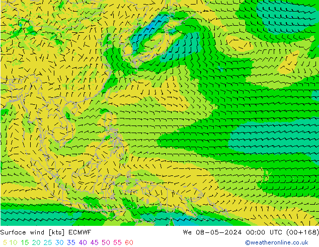  10 m ECMWF  08.05.2024 00 UTC