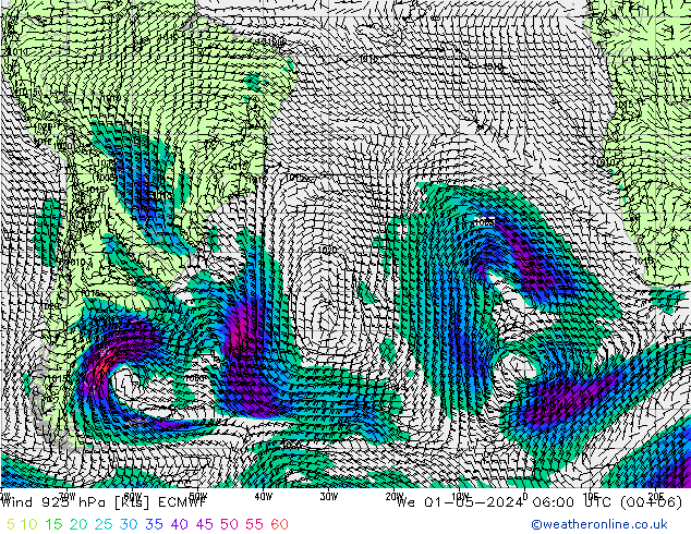 wiatr 925 hPa ECMWF śro. 01.05.2024 06 UTC