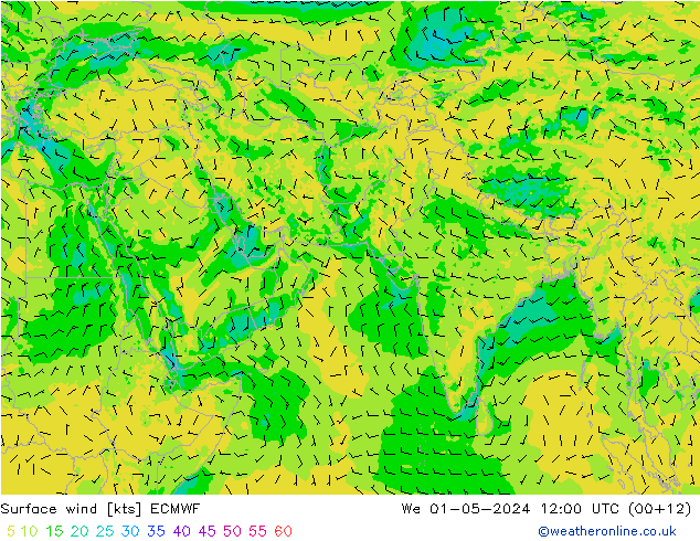 Surface wind ECMWF We 01.05.2024 12 UTC