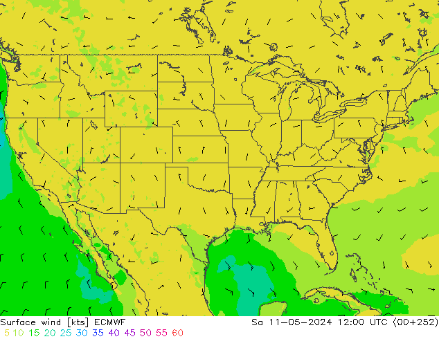 Surface wind ECMWF Sa 11.05.2024 12 UTC