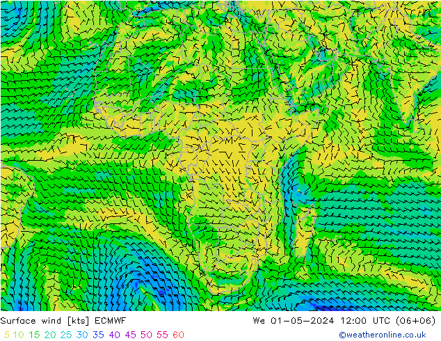 Wind 10 m ECMWF wo 01.05.2024 12 UTC