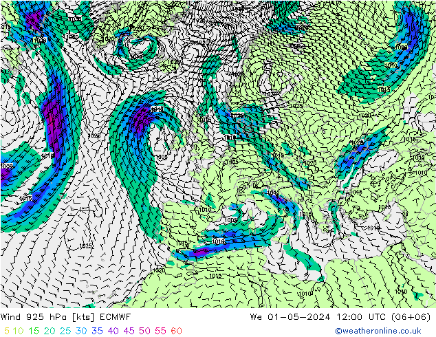 ветер 925 гПа ECMWF ср 01.05.2024 12 UTC