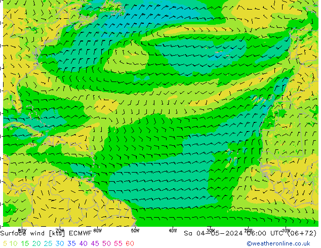 Surface wind ECMWF Sa 04.05.2024 06 UTC