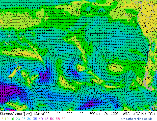 Surface wind ECMWF We 01.05.2024 18 UTC