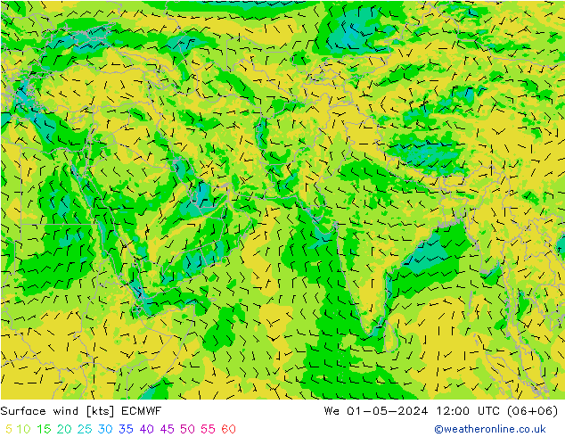 Surface wind ECMWF We 01.05.2024 12 UTC