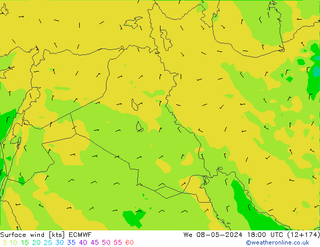  10 m ECMWF  08.05.2024 18 UTC