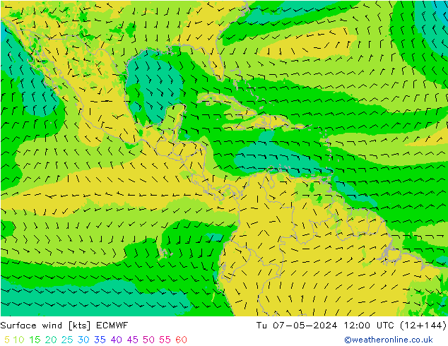 wiatr 10 m ECMWF wto. 07.05.2024 12 UTC