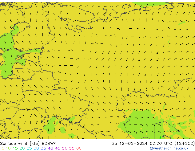 Surface wind ECMWF Su 12.05.2024 00 UTC