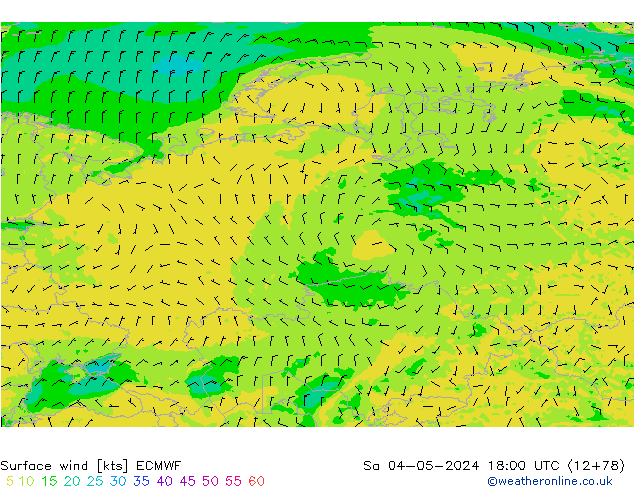 Surface wind ECMWF Sa 04.05.2024 18 UTC