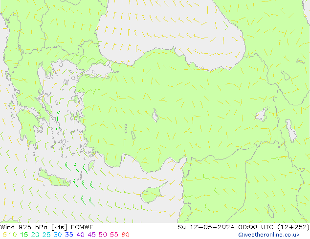 Rüzgar 925 hPa ECMWF Paz 12.05.2024 00 UTC