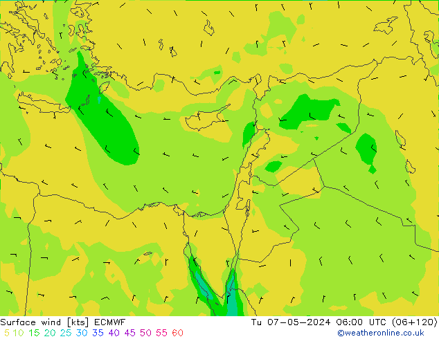 Surface wind ECMWF Tu 07.05.2024 06 UTC