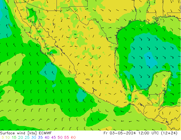 Viento 10 m ECMWF vie 03.05.2024 12 UTC