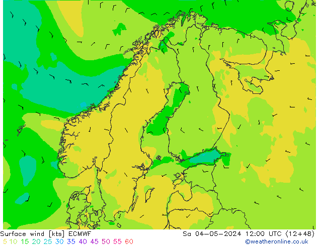 Bodenwind ECMWF Sa 04.05.2024 12 UTC