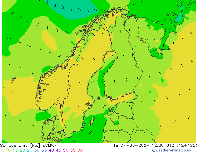  10 m ECMWF  07.05.2024 12 UTC