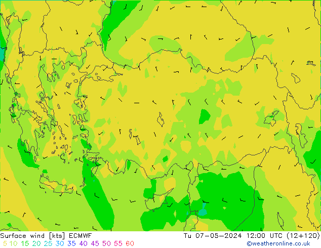 ветер 10 m ECMWF вт 07.05.2024 12 UTC