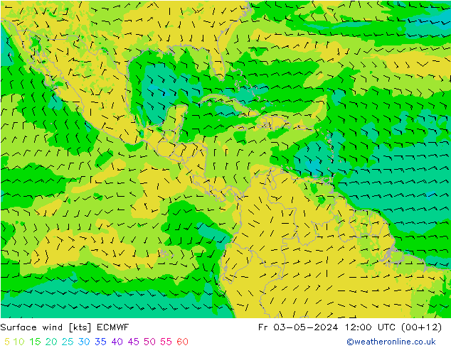 Wind 10 m ECMWF vr 03.05.2024 12 UTC