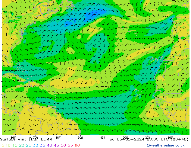 Surface wind ECMWF Ne 05.05.2024 00 UTC