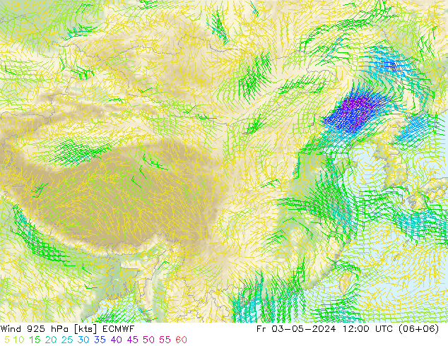 风 925 hPa ECMWF 星期五 03.05.2024 12 UTC