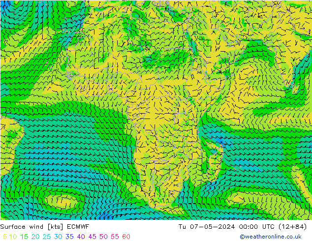 Surface wind ECMWF Tu 07.05.2024 00 UTC