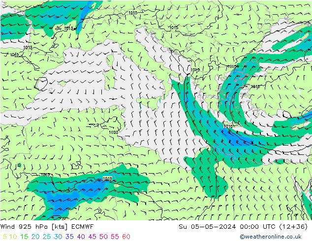 Rüzgar 925 hPa ECMWF Paz 05.05.2024 00 UTC