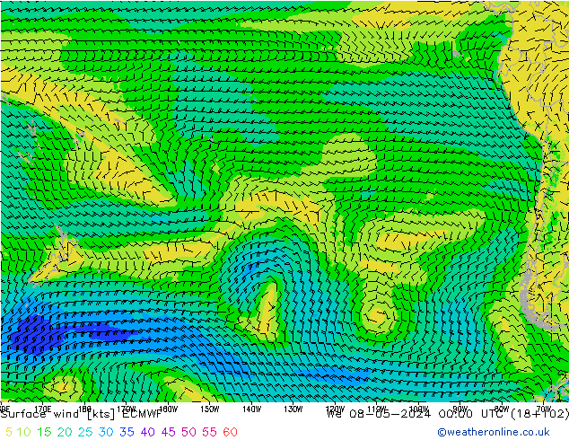 Surface wind ECMWF St 08.05.2024 00 UTC