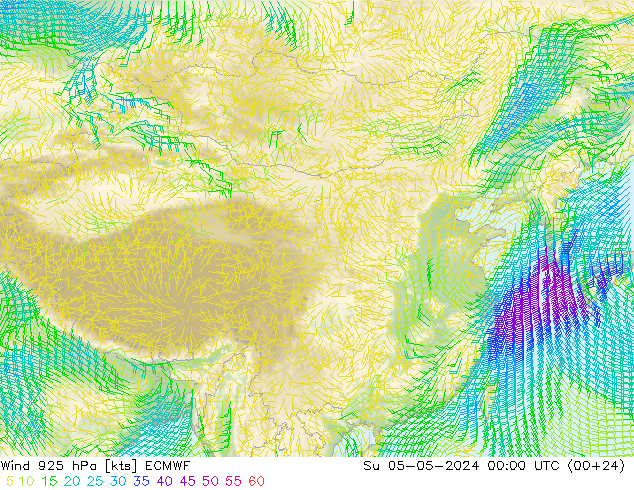 风 925 hPa ECMWF 星期日 05.05.2024 00 UTC