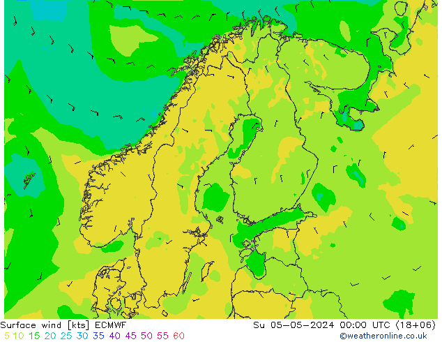 Bodenwind ECMWF So 05.05.2024 00 UTC