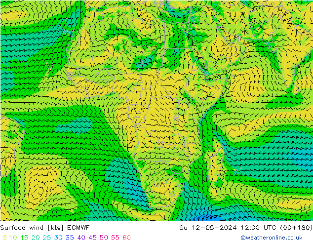 ветер 10 m ECMWF Вс 12.05.2024 12 UTC