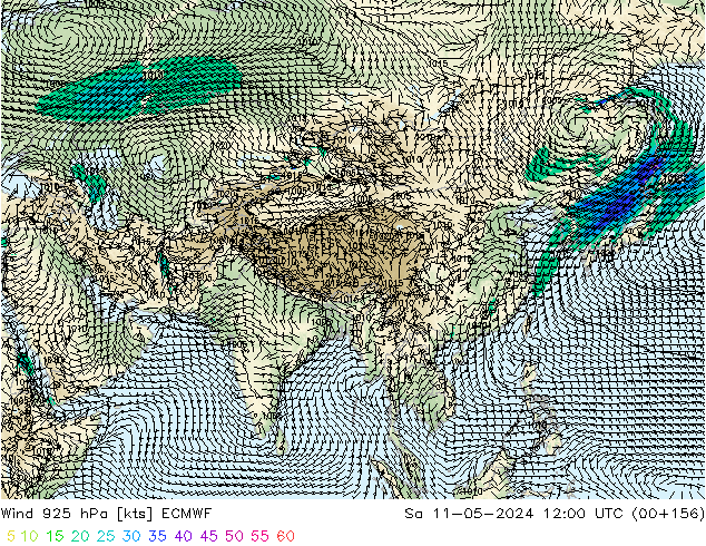 Wind 925 hPa ECMWF Sa 11.05.2024 12 UTC