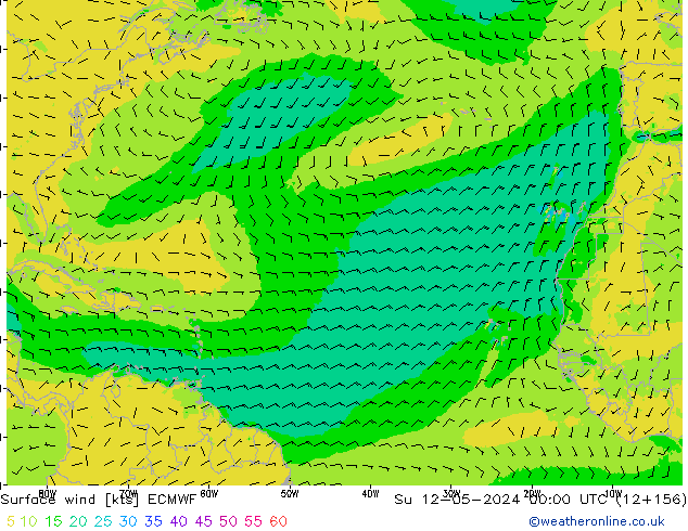 Rüzgar 10 m ECMWF Paz 12.05.2024 00 UTC