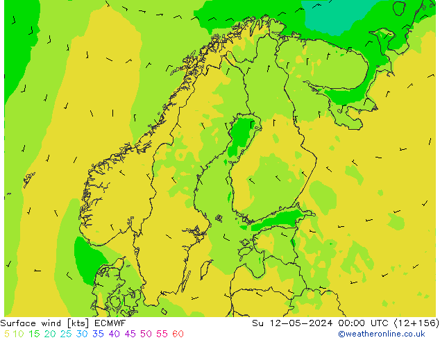 Vento 10 m ECMWF dom 12.05.2024 00 UTC