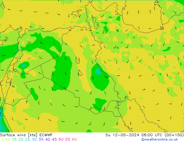 Surface wind ECMWF Su 12.05.2024 06 UTC