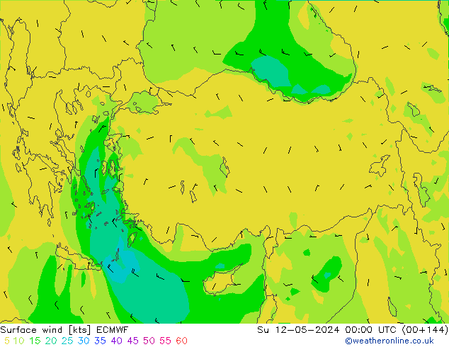 Surface wind ECMWF Ne 12.05.2024 00 UTC