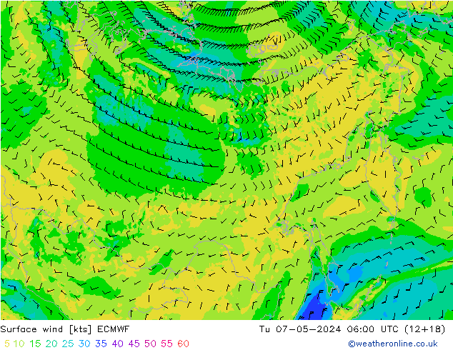 Wind 10 m ECMWF di 07.05.2024 06 UTC